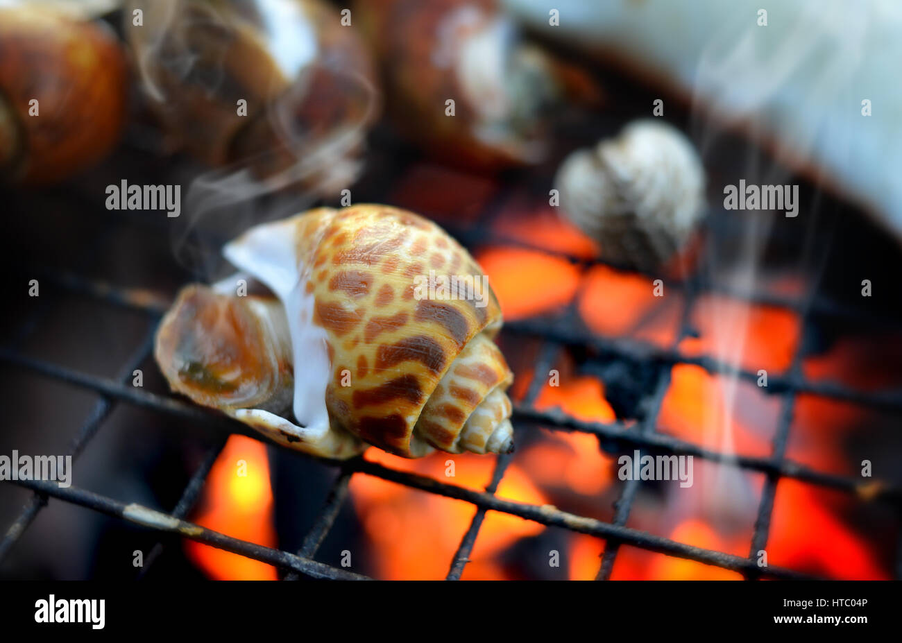 Spotted babylon grill on charcoal fire in outdoor after sunset low lighting. Stock Photo