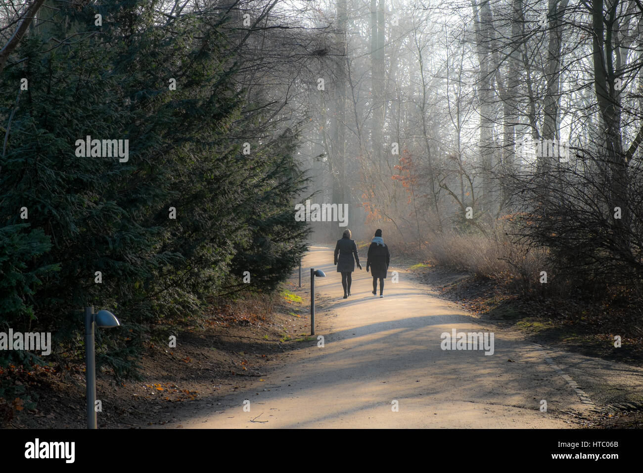 Winter walk for a couple walking in Søndermarken park, Frederiksberg, Copengahen, Denmark Stock Photo