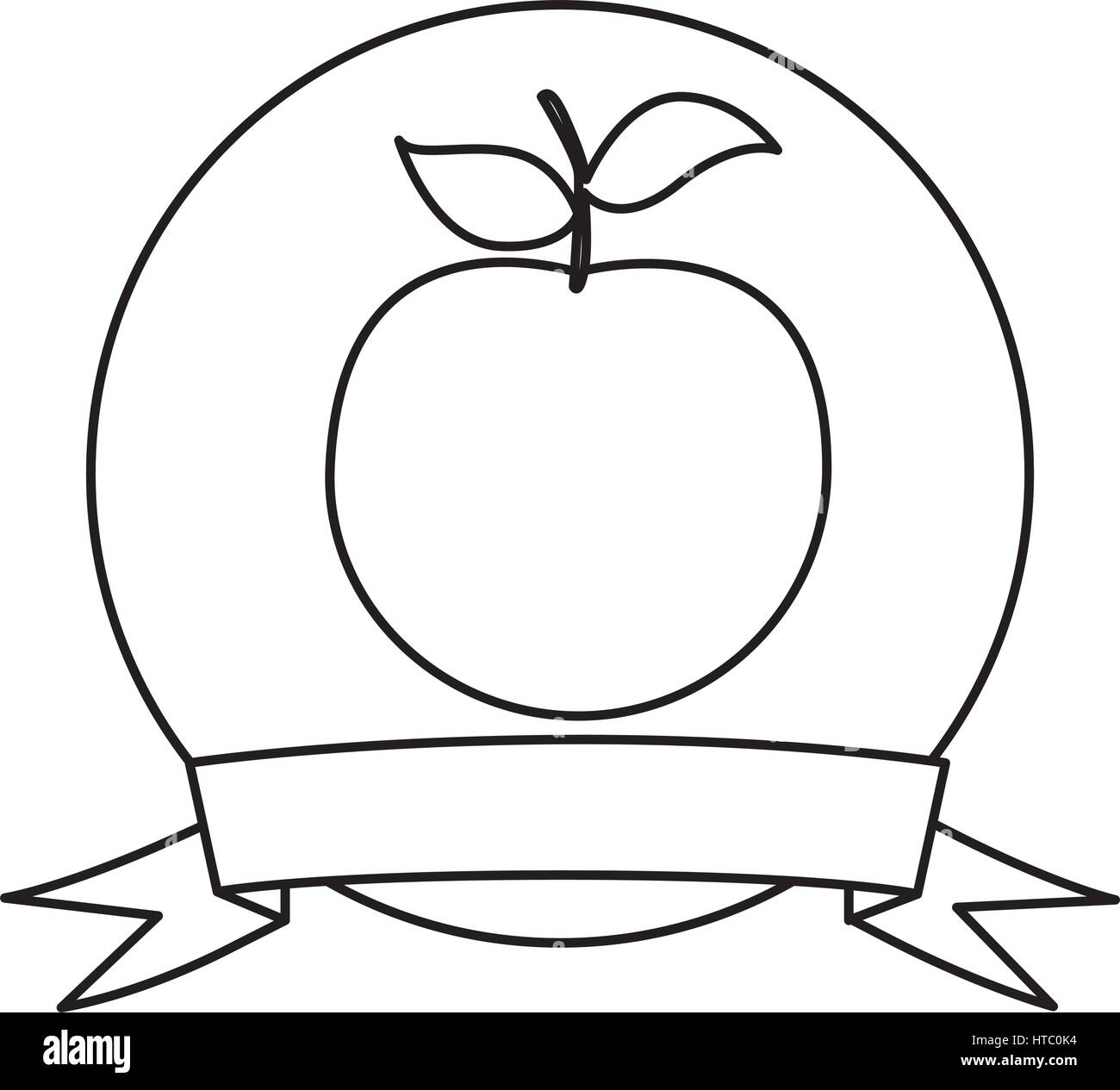 silhouette circular frame with ribbon and orange fruit Stock Vector ...