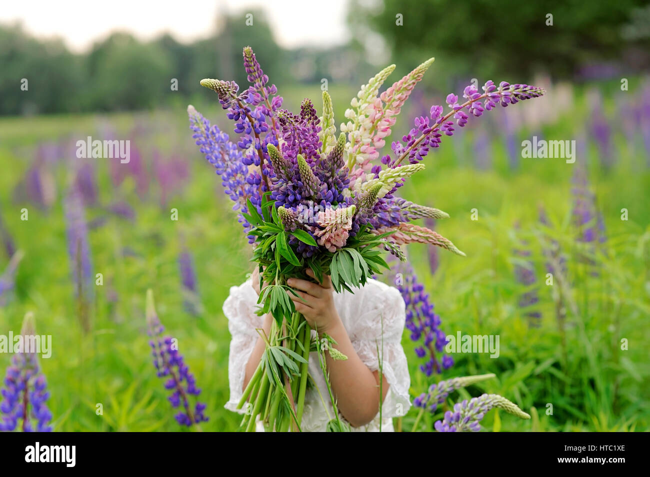 Little girl in white dress with bouquet at the green field with violet ...