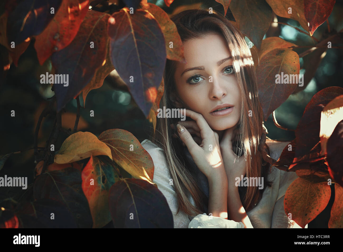 Beautiful young woman posing among colorful autumn leaves Stock Photo