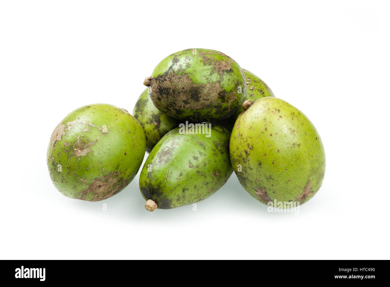Makok (hog plums or spanish plums) fruit in Thailand Stock Photo Alamy
