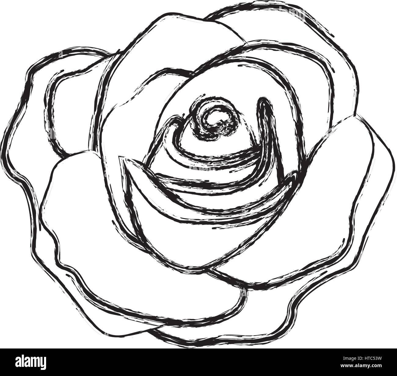figure rose with its petal icon Stock Vector