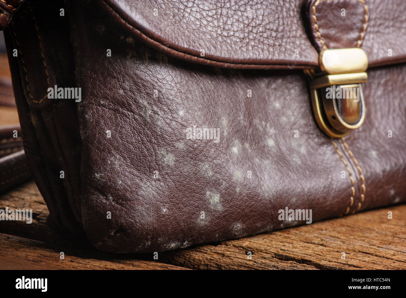 mould on old brown leather bag, fungus on leather bag Stock Photo