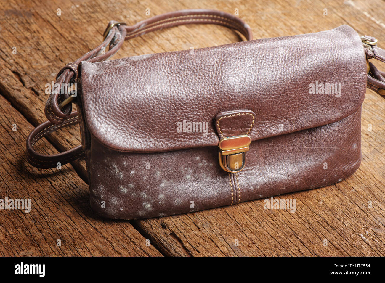 mould-on-old-brown-leather-bag-fungus-on-leather-bag-stock-photo-alamy