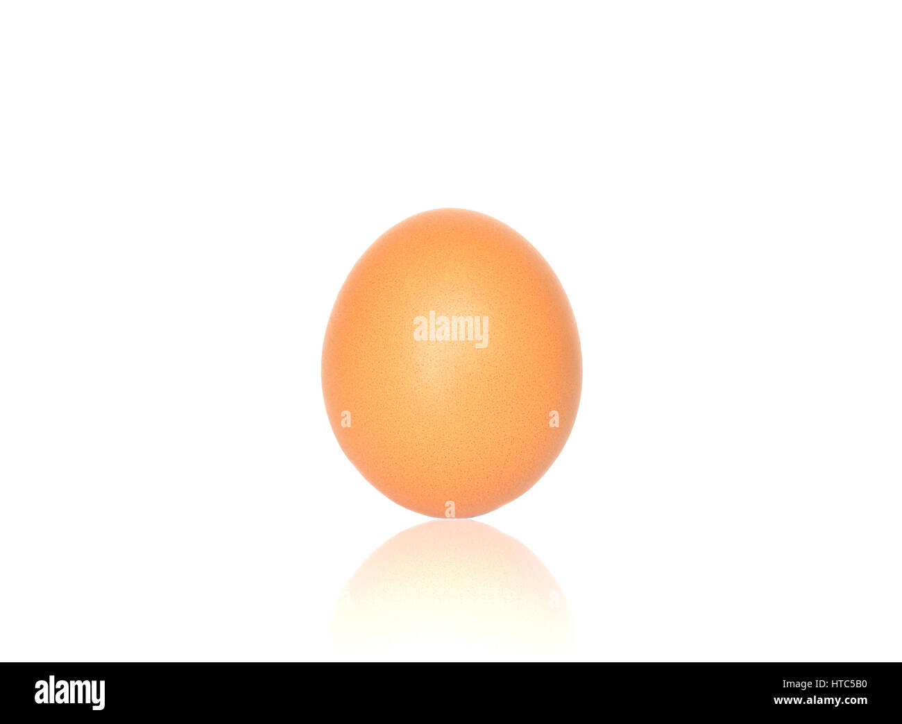 Single brown chicken egg isolated on white background Stock Photo - Alamy