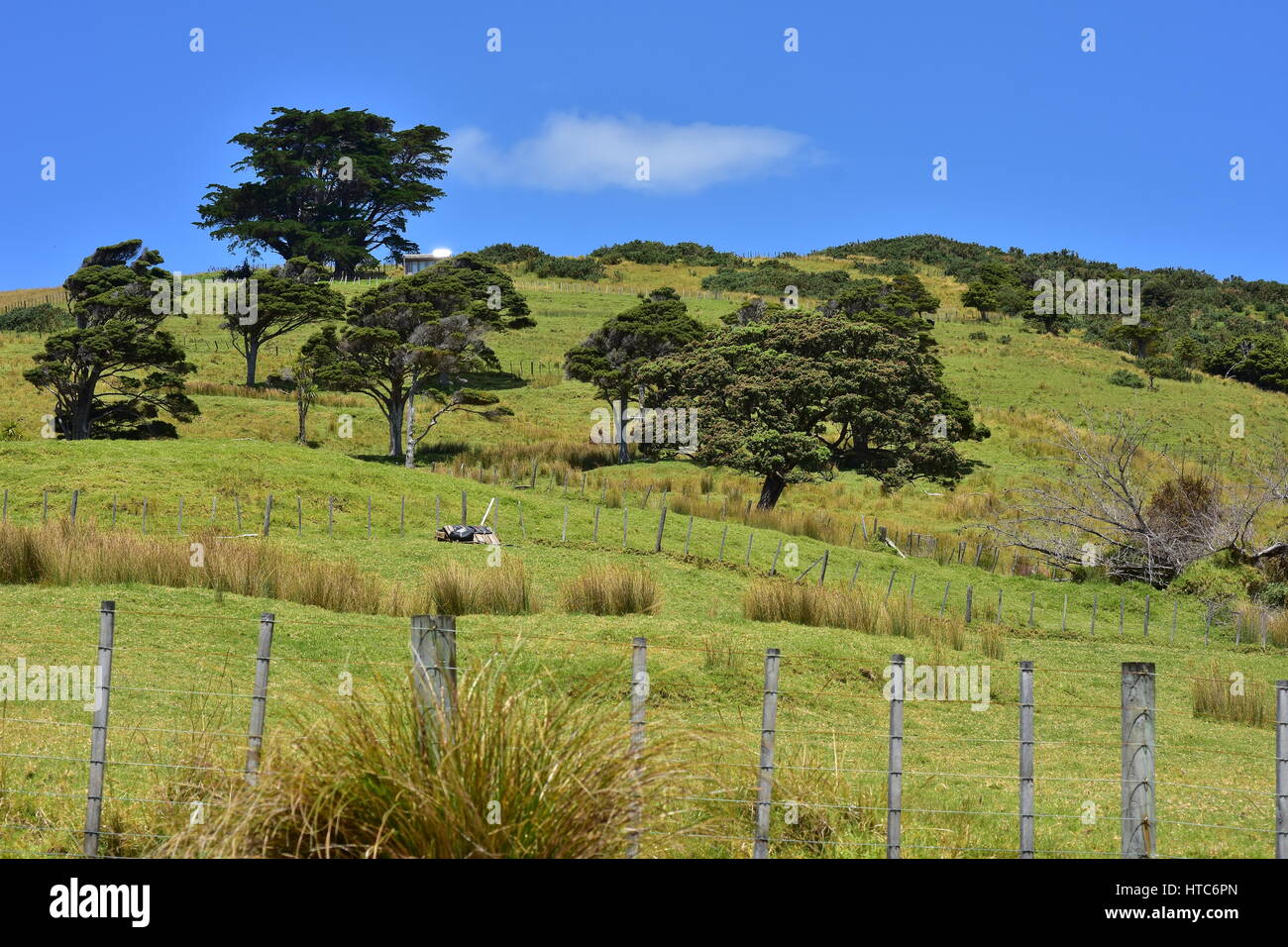 Typical farmland pastures divided by wire fences on flat hills in New Zealand countryside. Stock Photo