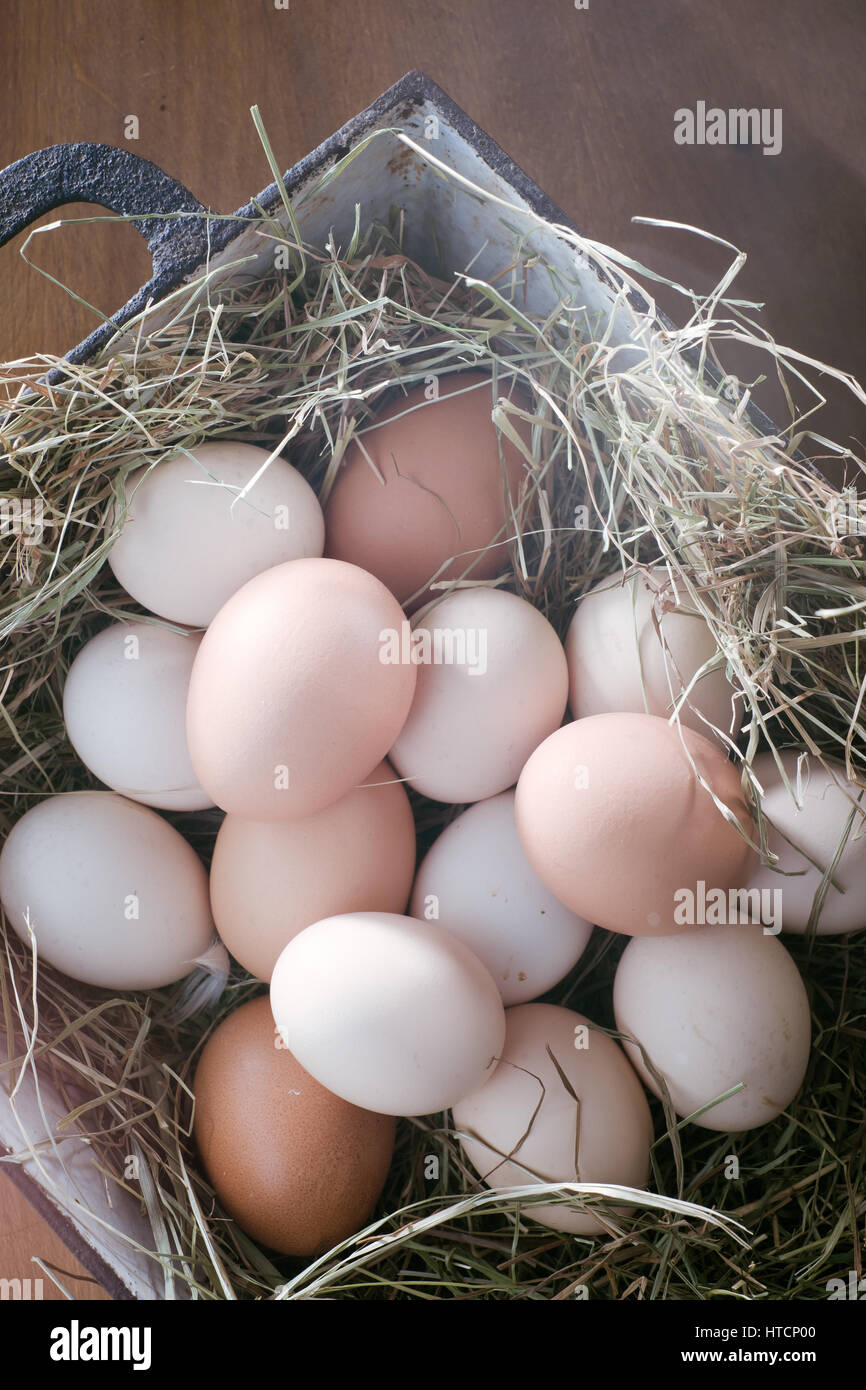 Organic eggs in a rural farmers market Stock Photo