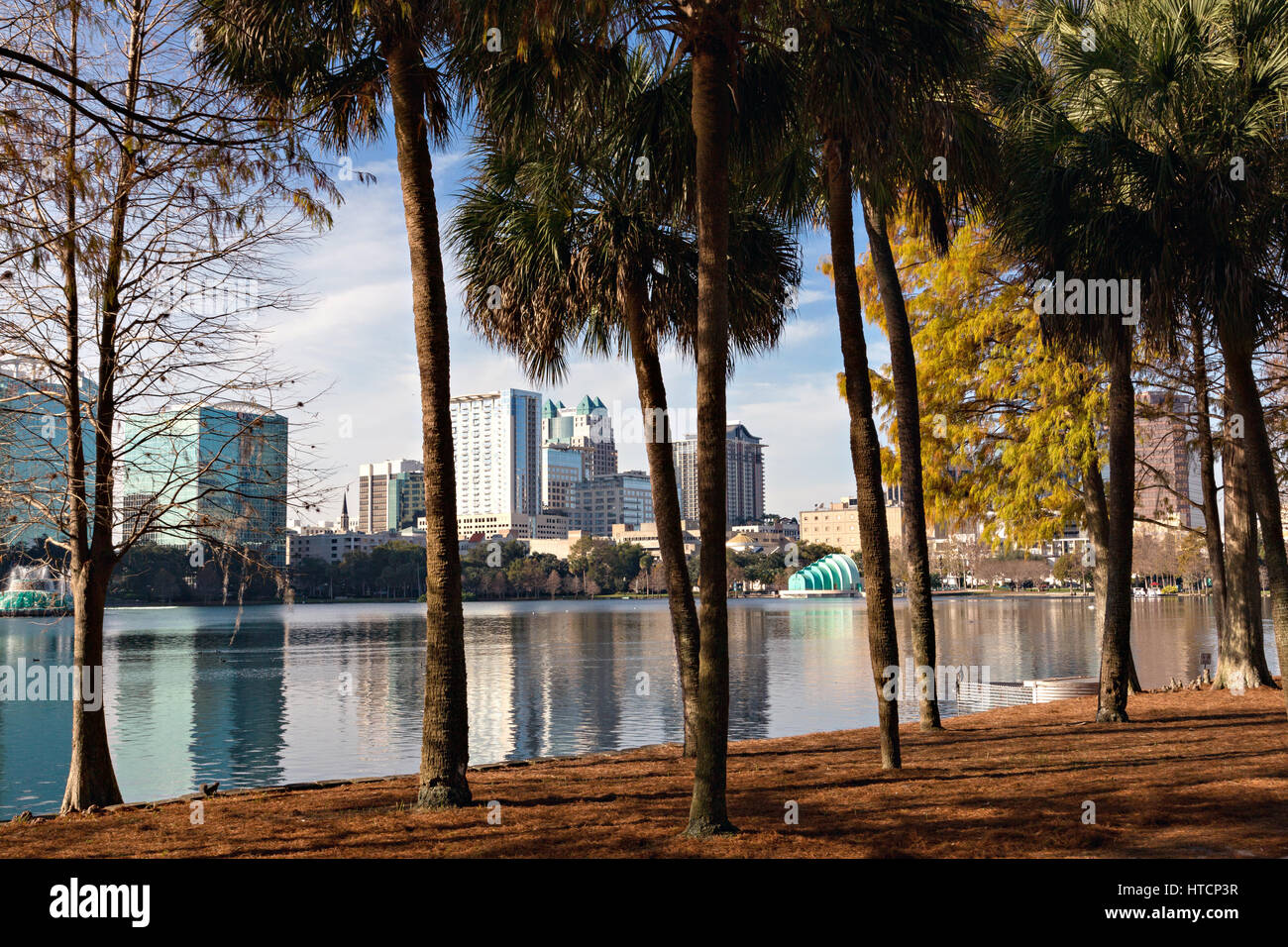 Skyline view over Lake Eola and palm trees in Orlando, Florida. Lake