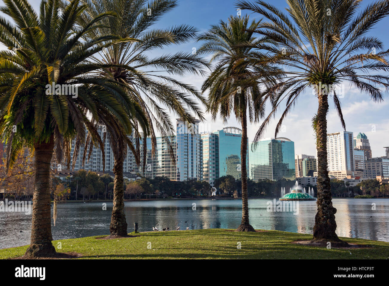 Skyline view over Lake Eola and palm trees in Orlando, Florida. Lake
