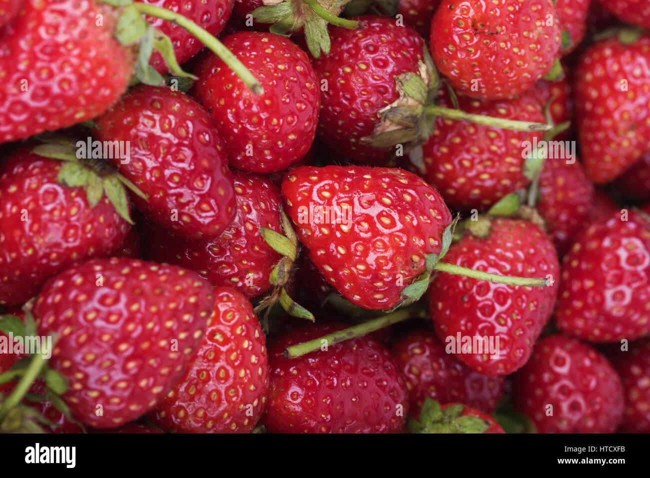Fresh ripe strawberry for background Stock Photo - Alamy
