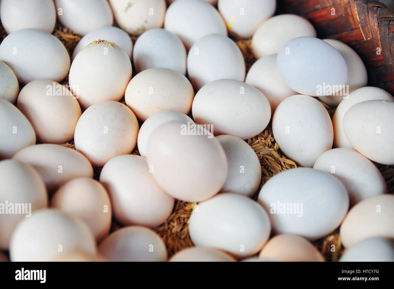 White chicken eggs Stock Photo Alamy