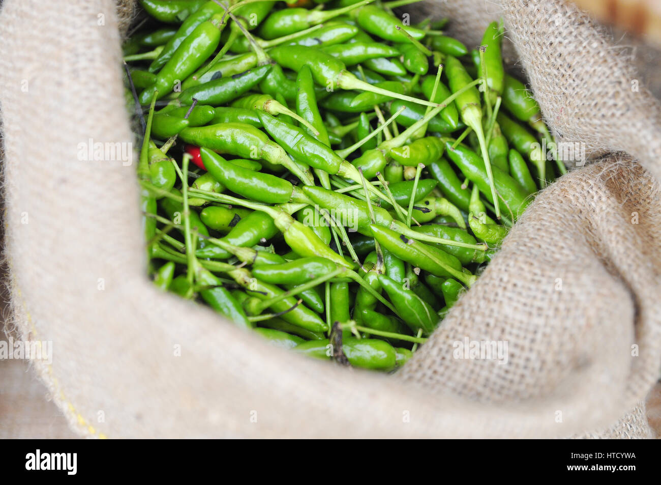 Green hot fresh chili pepper in burlap sack Stock Photo Alamy