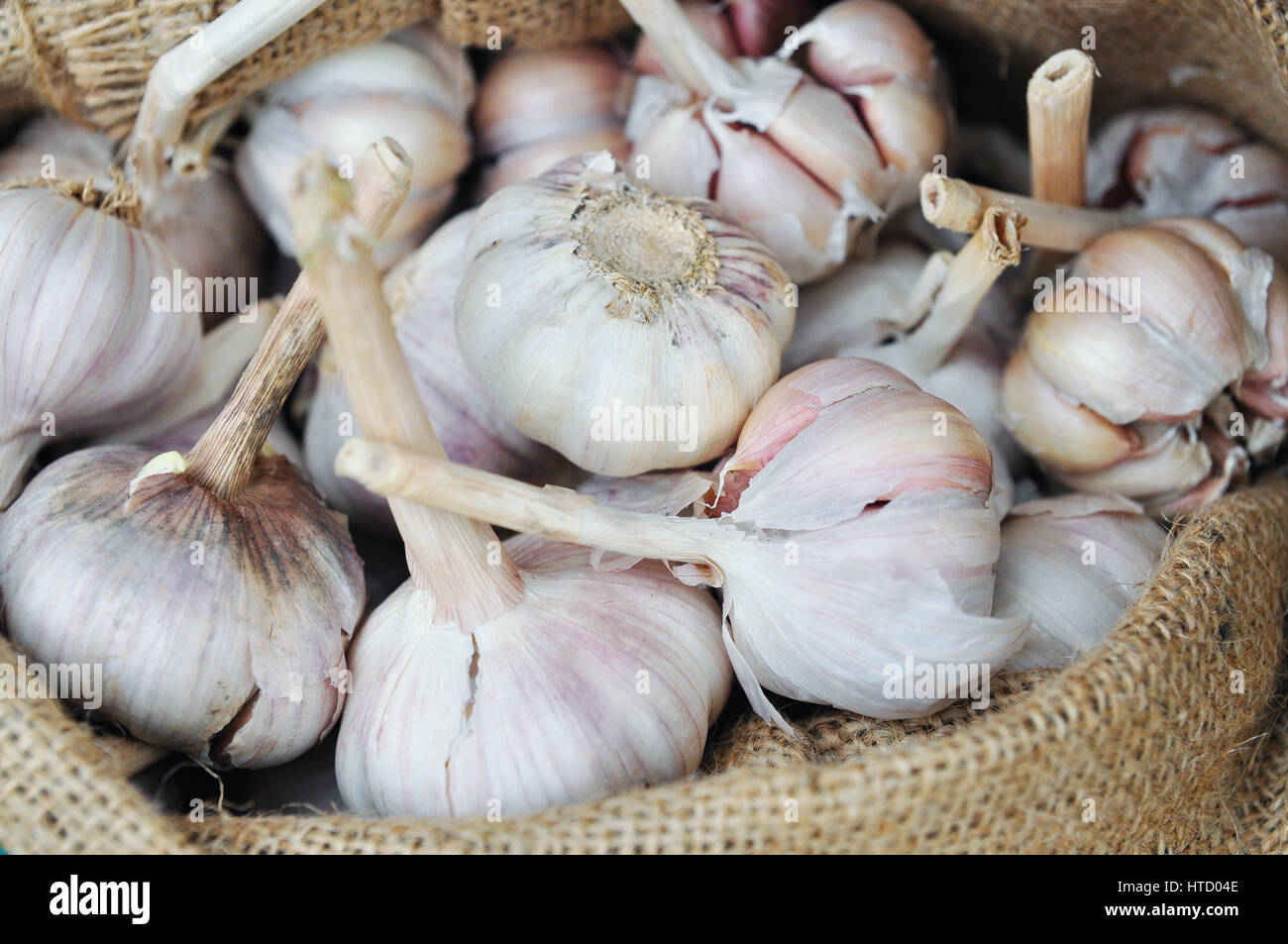 Dried whole garlic in burlap sack in asia Stock Photo Alamy