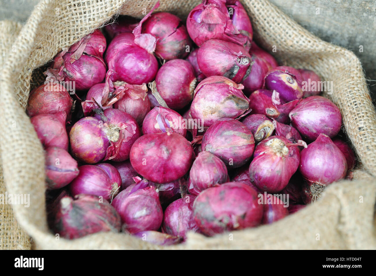 Shallots Indonesian Red Onion Traditional Organic Stock Photo 2287958019