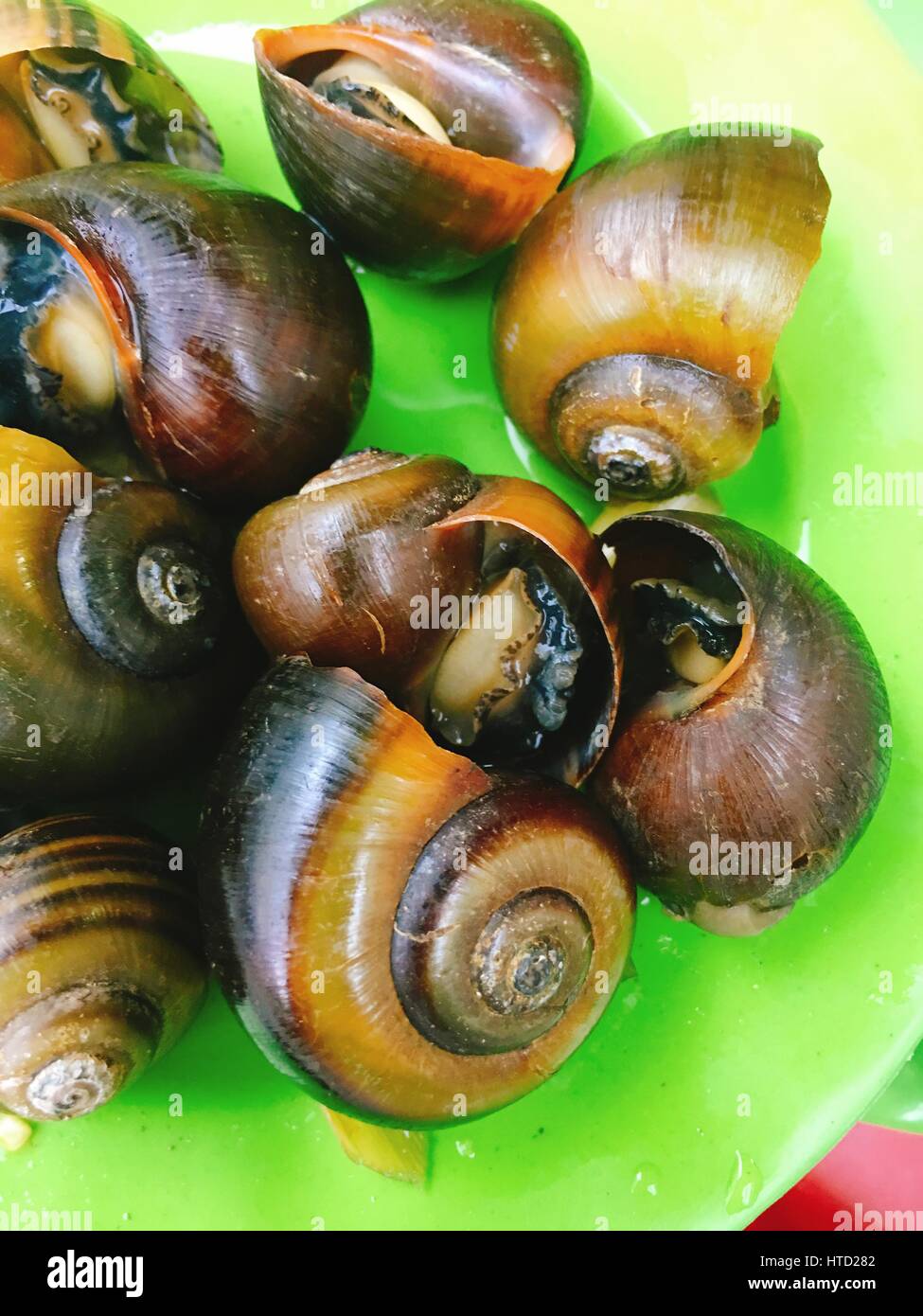 Vietnamese steamed snails on dish for street food Stock Photo Alamy
