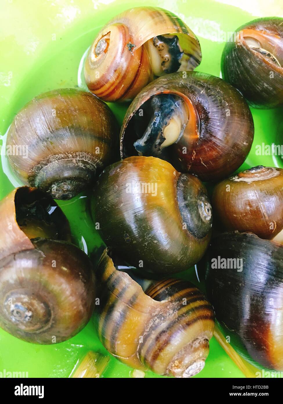 Vietnamese steamed snails on dish for street food Stock Photo Alamy