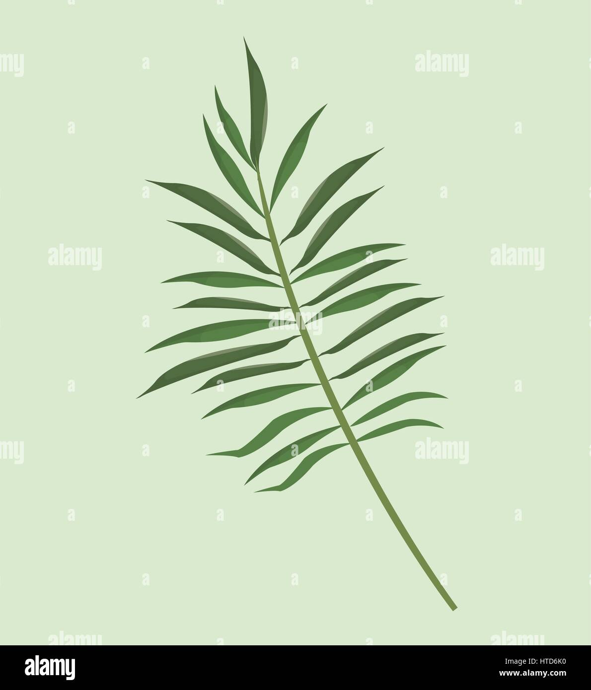 leave palm tropical natural Stock Vector Image & Art - Alamy