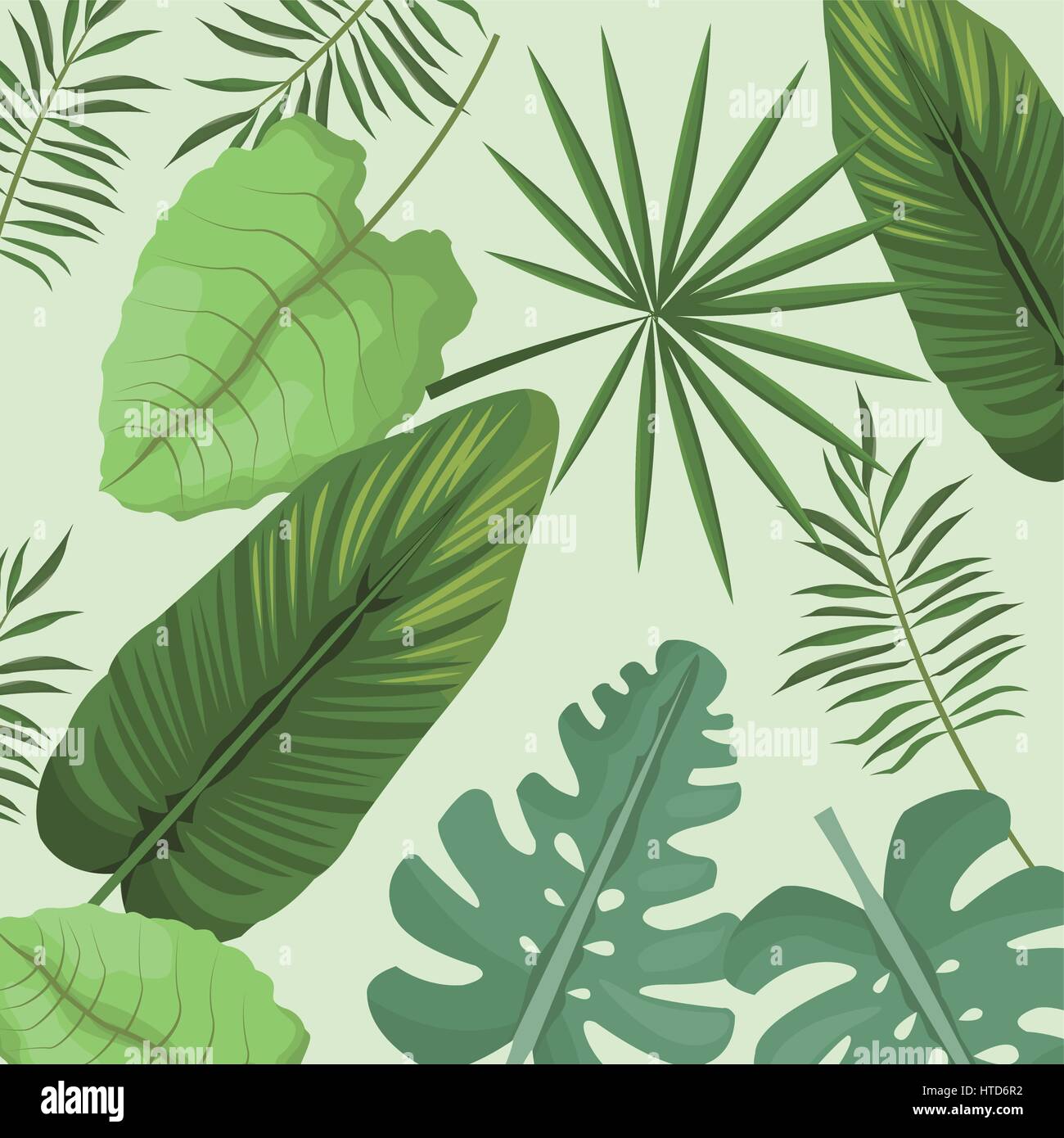collection palm leaves natural Stock Vector Image & Art - Alamy