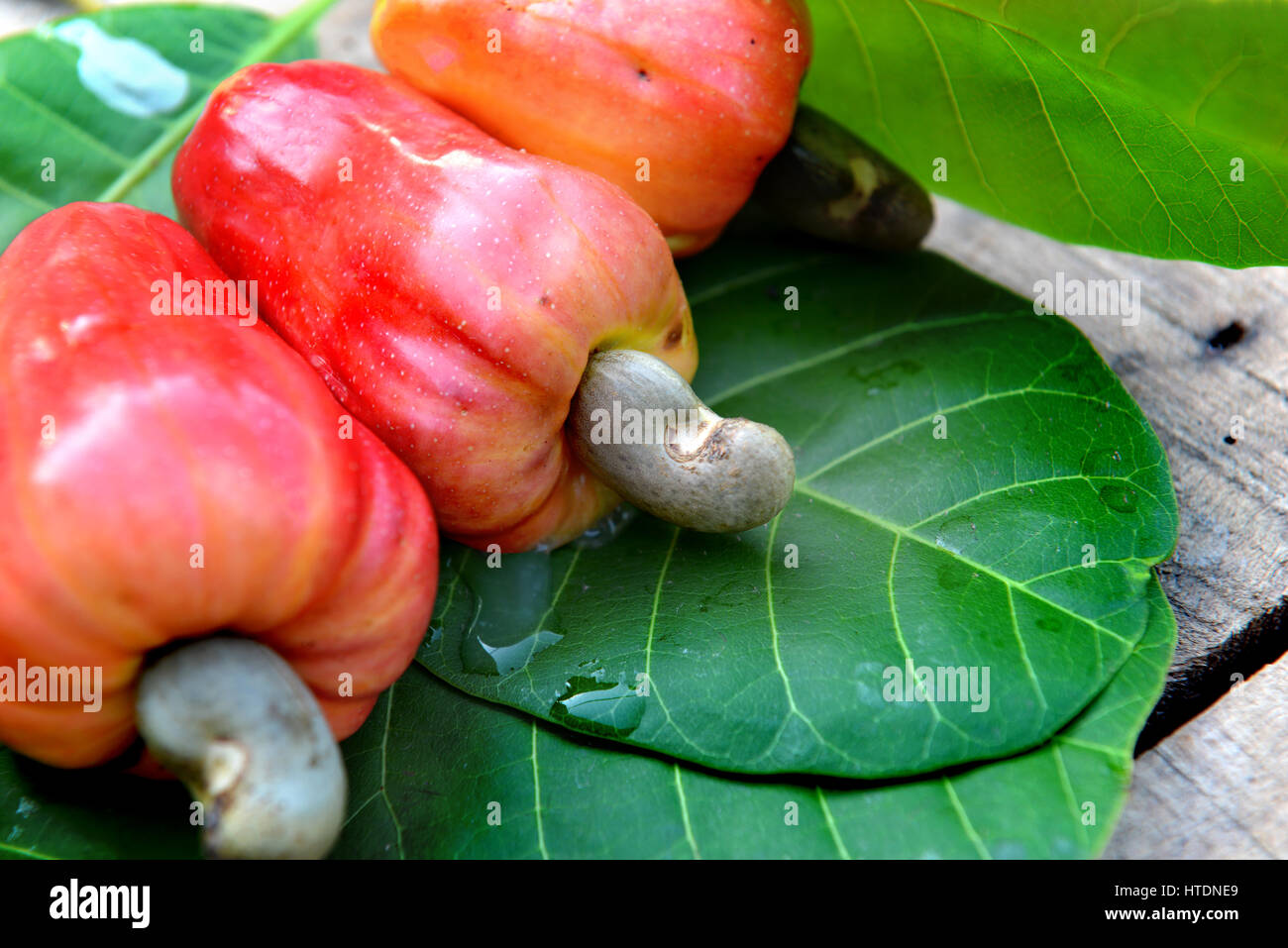 Cashew nut and fruit hires stock photography and images Alamy