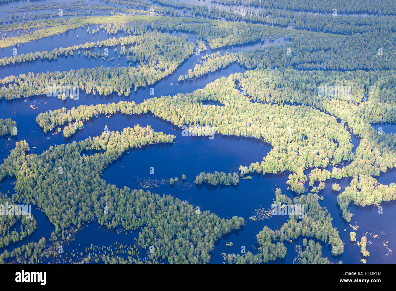 Aerial view flooded forest plains in summer. Stock Photo