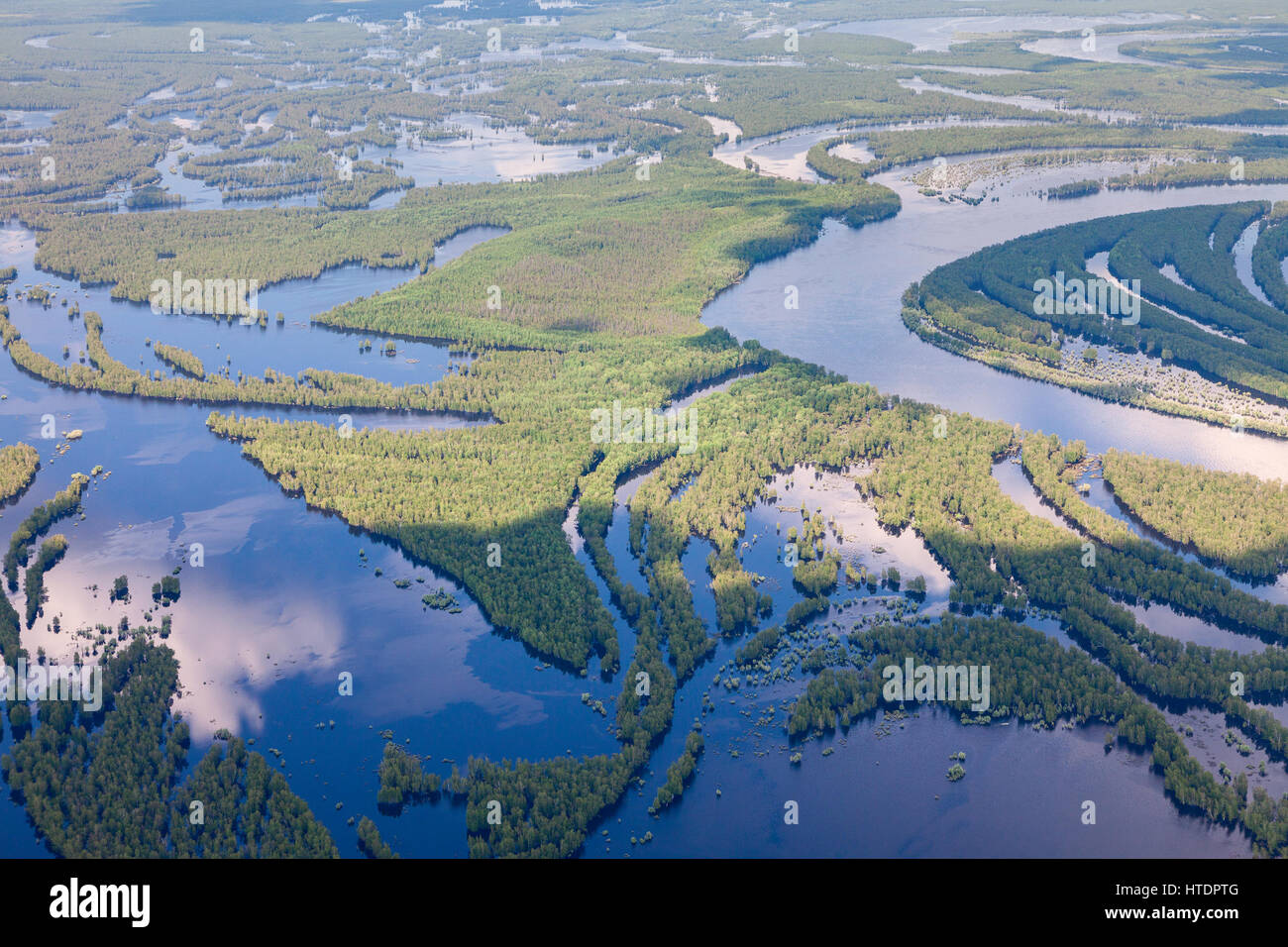 Aerial view flooded forest plains in summer. Stock Photo