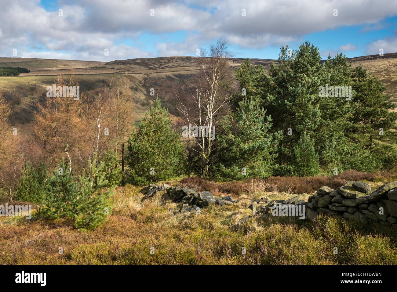 Uk landscape early spring hi-res stock photography and images - Alamy