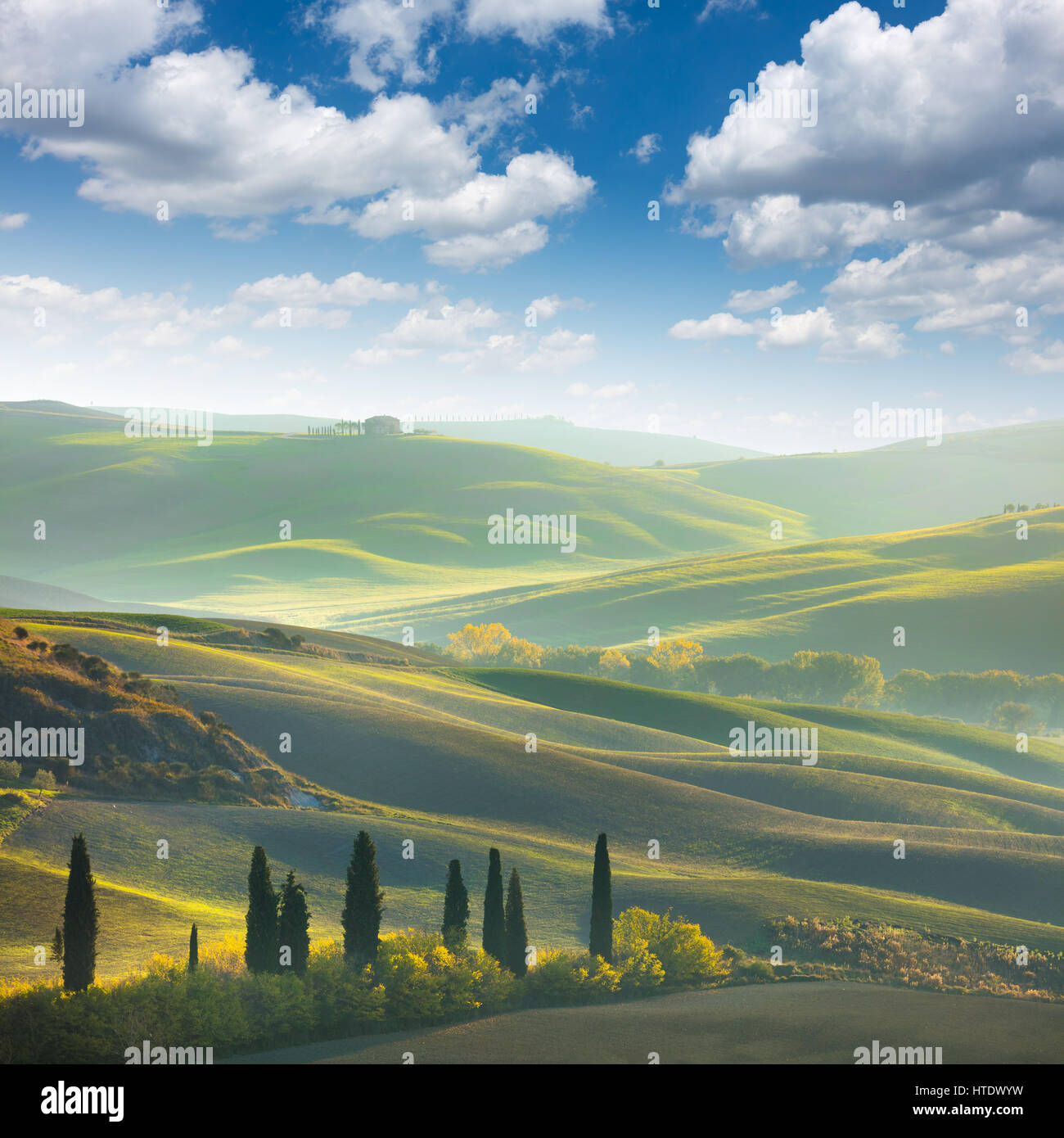 Fresh Green tuscany landscape in spring time - wave hills, cypresses trees, green grass and beautiful blue sky. Tuscany, Italy, Europe Stock Photo