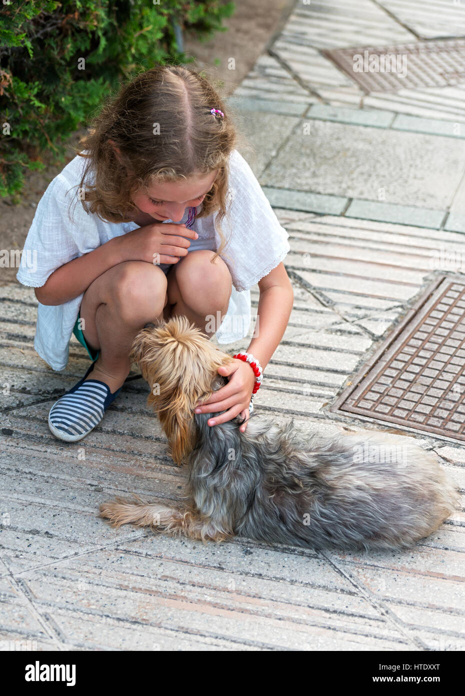Cute little girl with stray dog on the street. Stock Photo