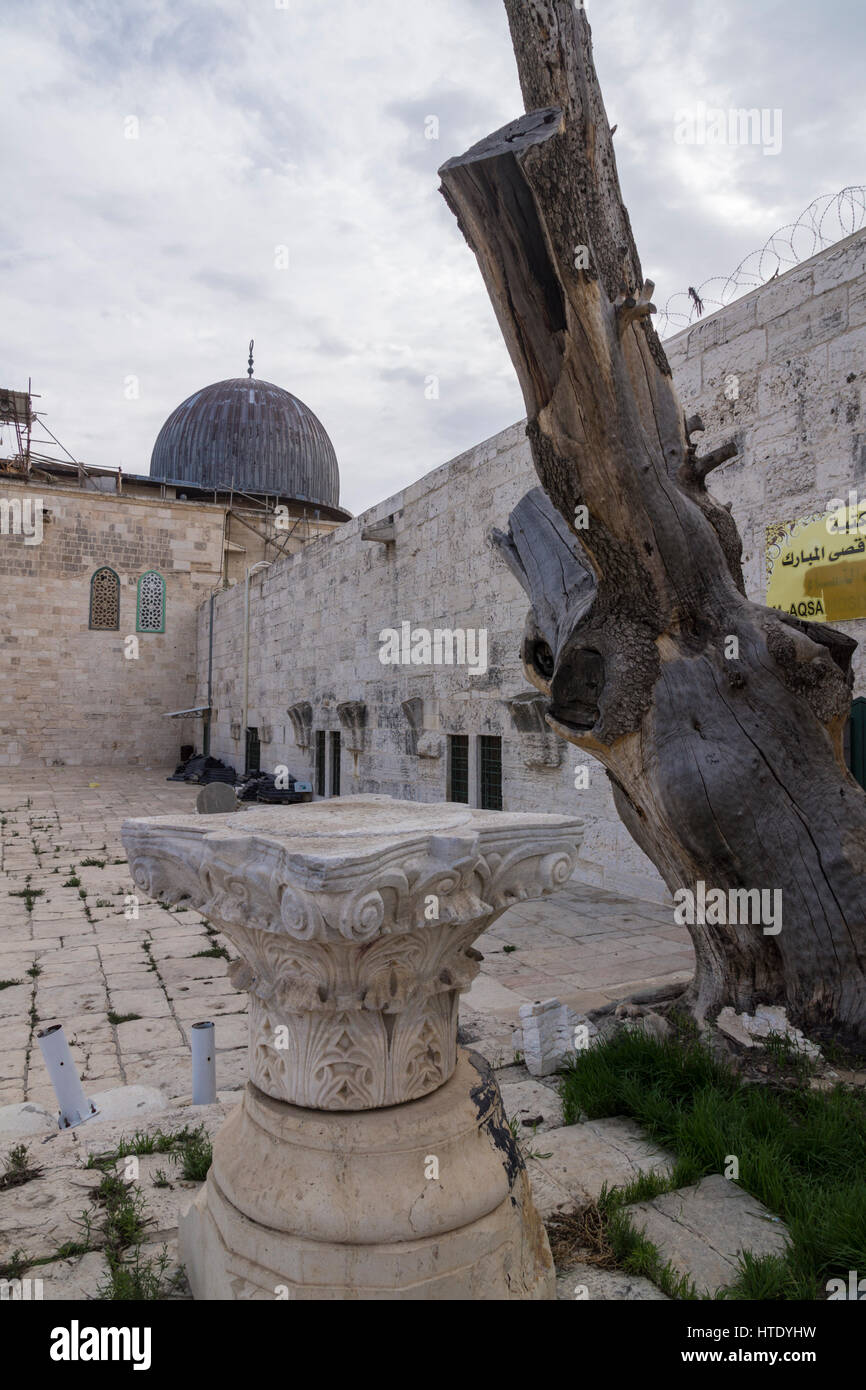 Temple mount, Jerusalem, Israel. 2nd-temple era archeological remains near the Al-Aqsa Mosque Stock Photo