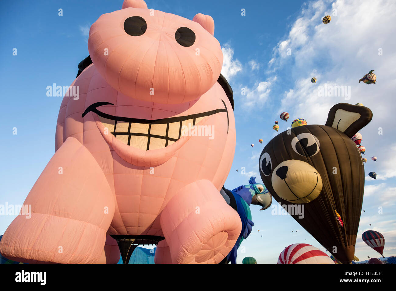 "Pigasus" (left) and "Victor the Bear" special shape hot air balloons, Albuquerque International Balloon Fiesta, Albuquerque, New Mexico USA Stock Photo