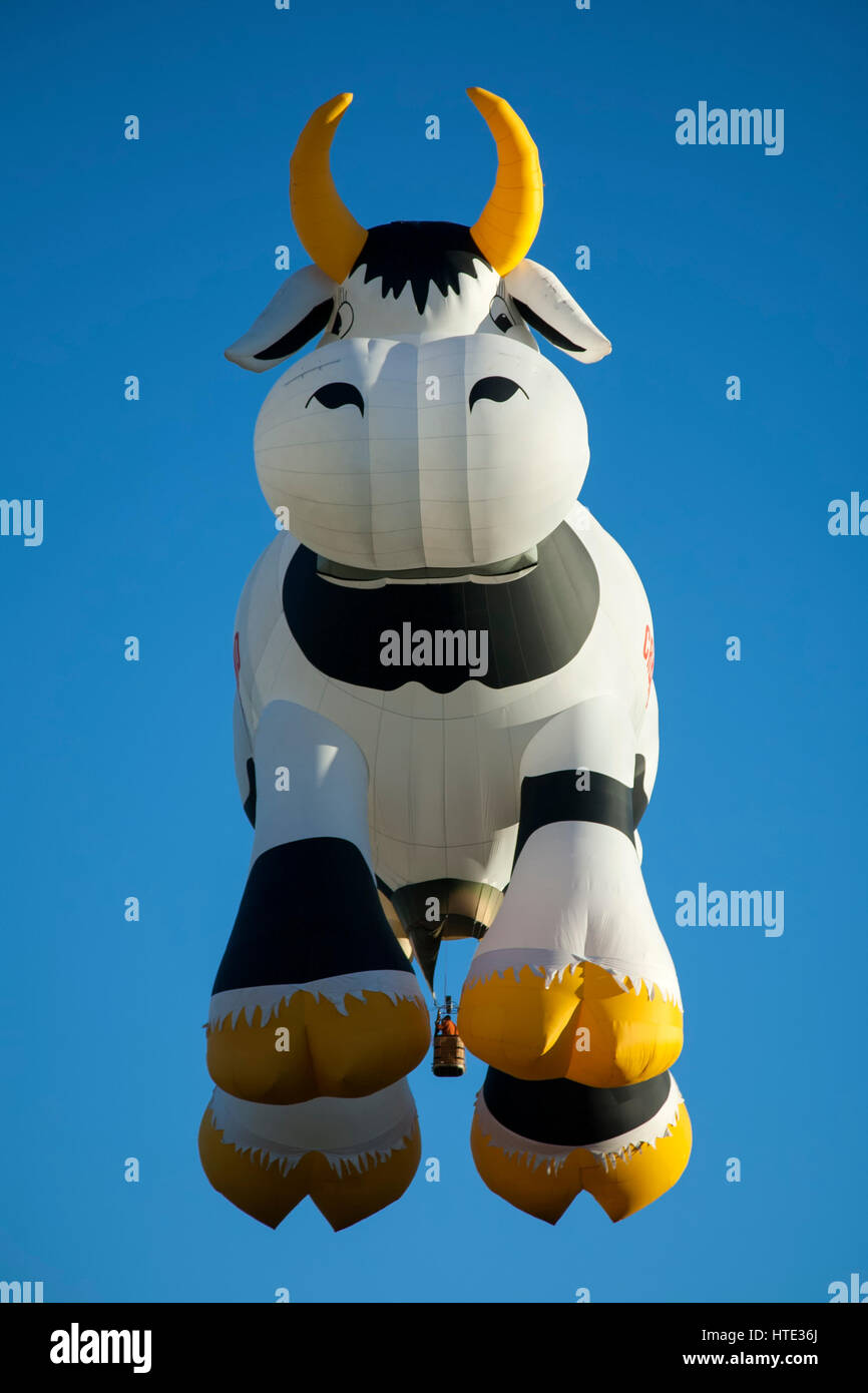 Flying cow hot air balloon hi-res stock photography and images - Alamy
