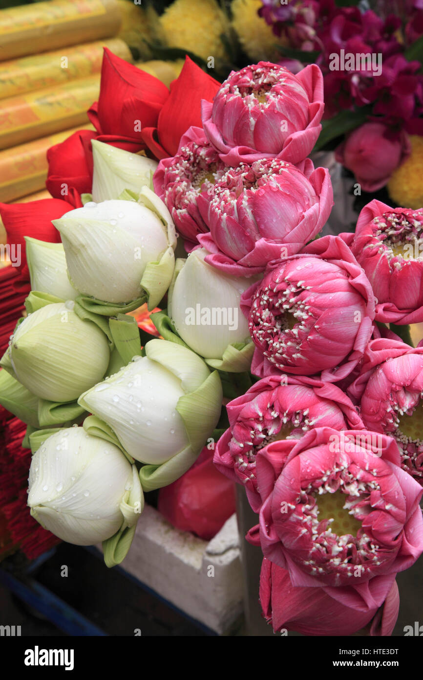 Singapore flowers hires stock photography and images Alamy