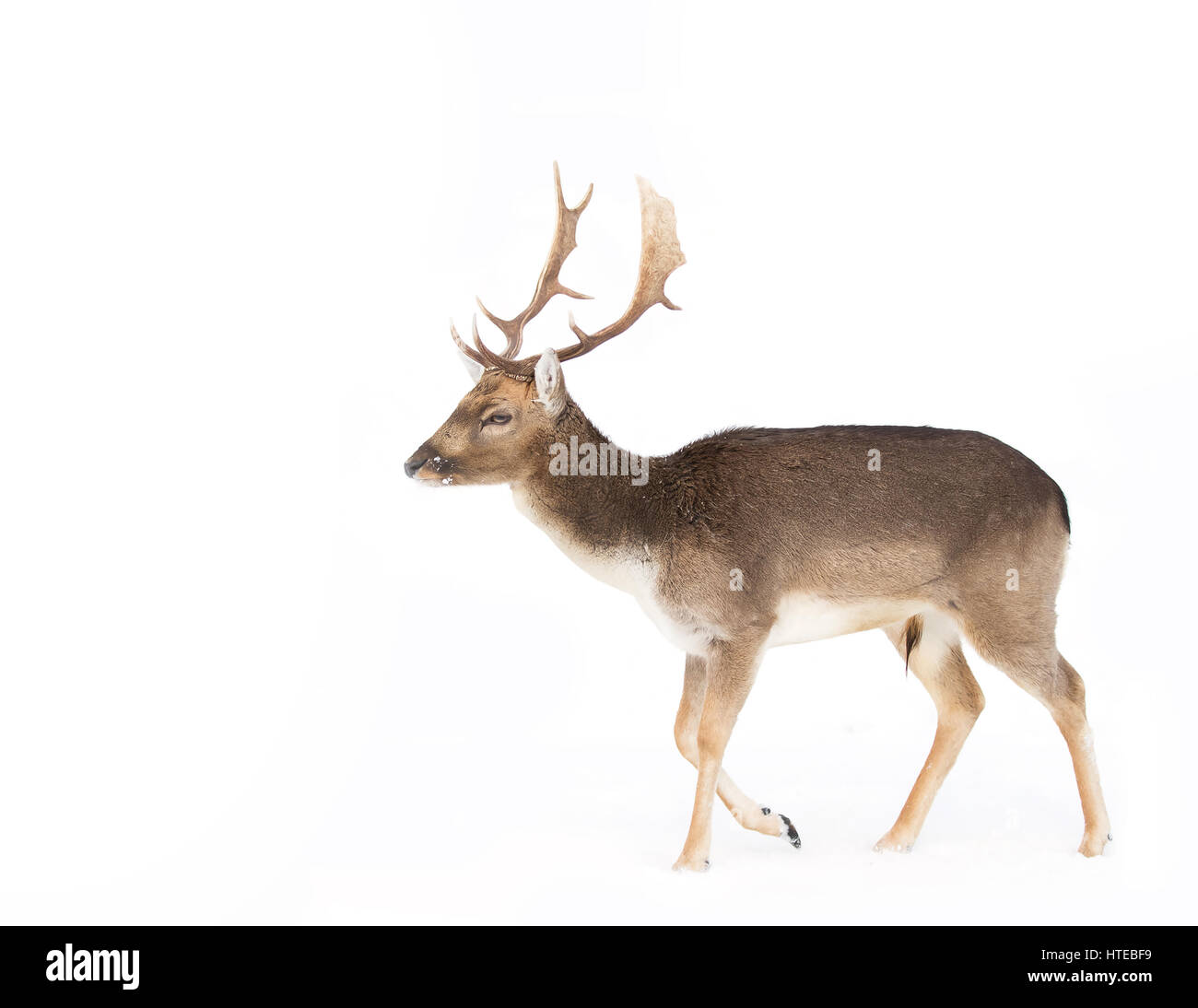 Field Trip Quotes Youtube