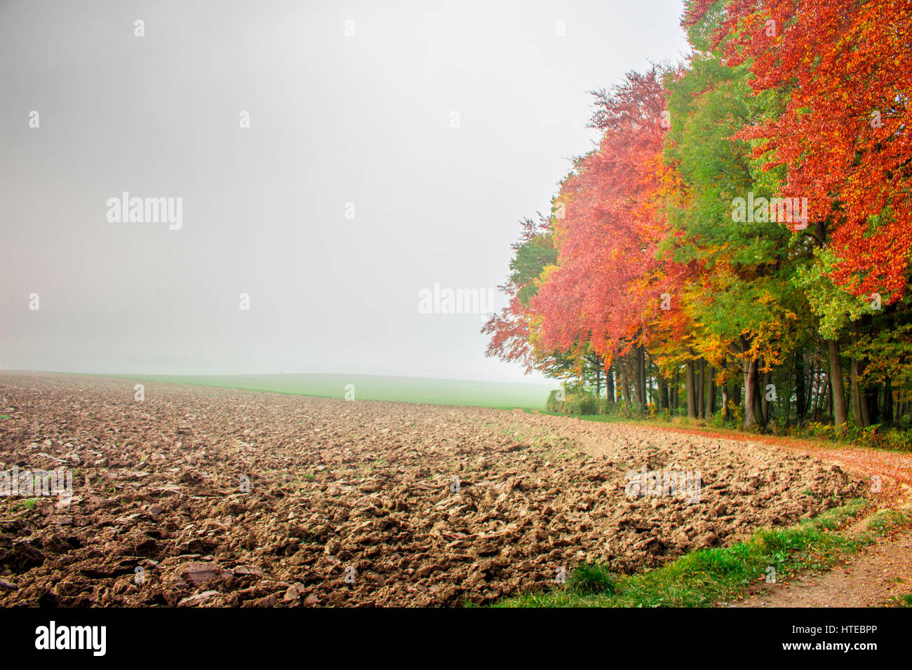 Herbst, Autum Stock Photo