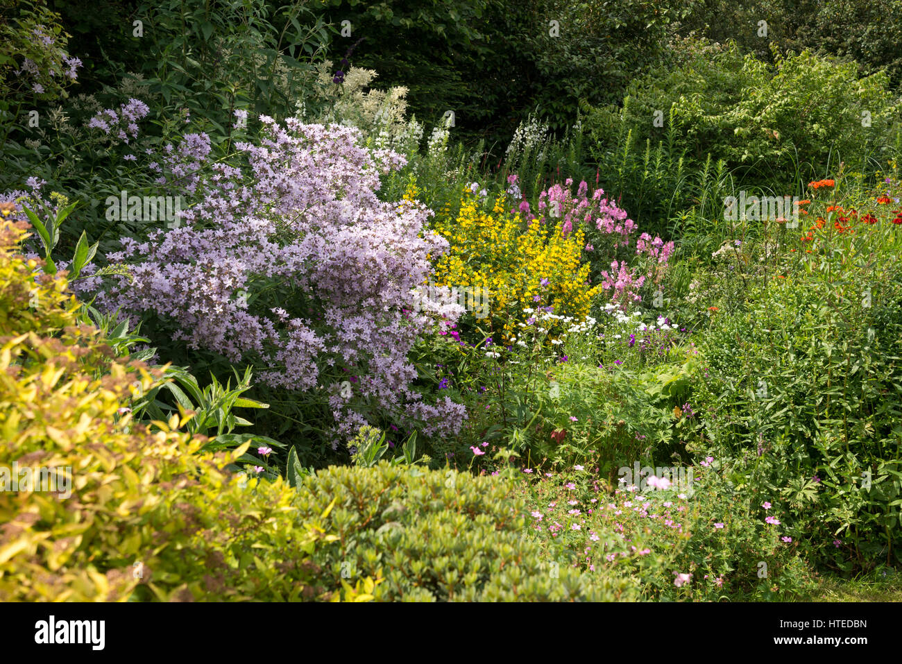 Colourful flower borders in a cottage garden style. Mixed planting of