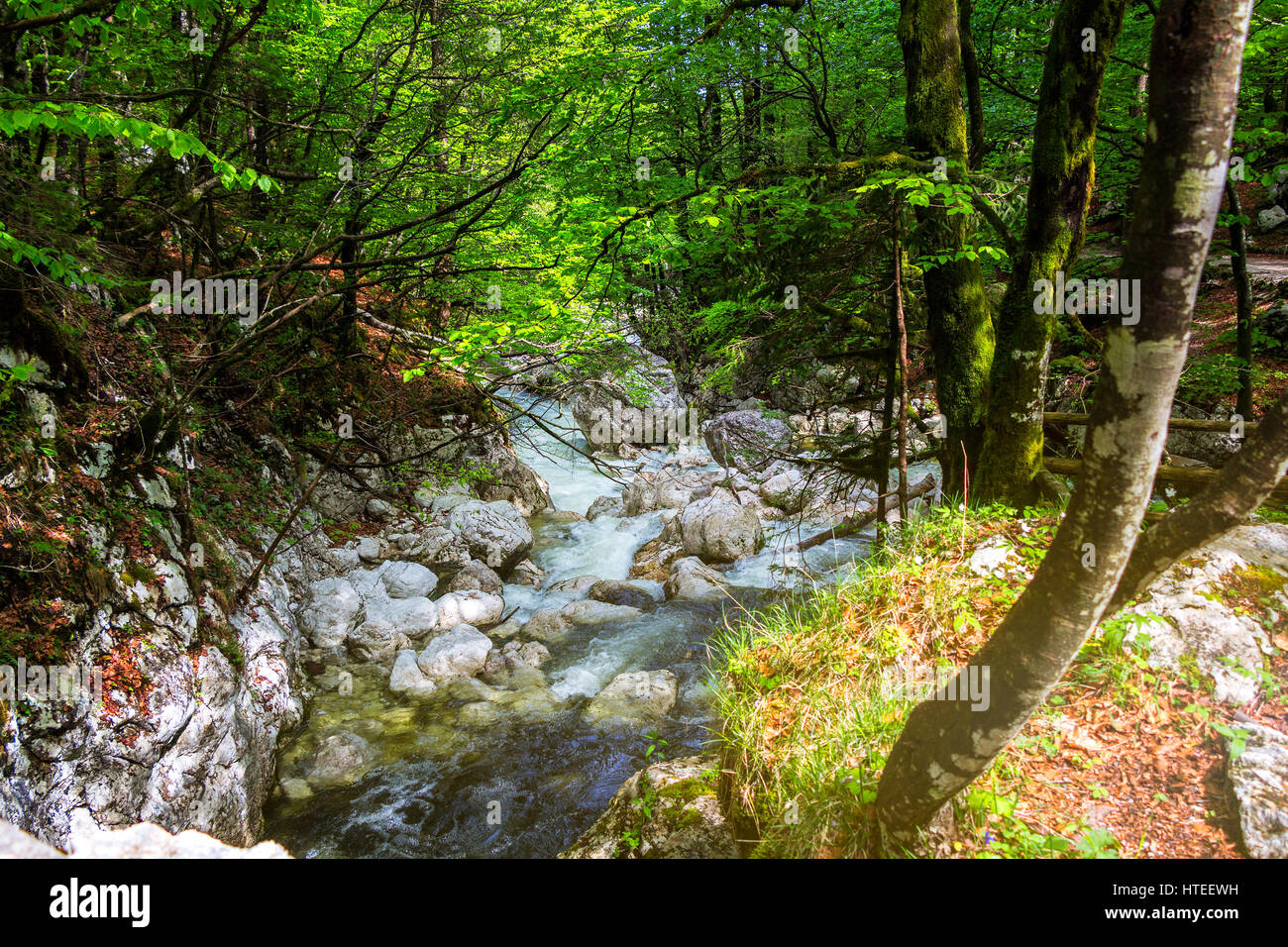 Flowing river in the forest Stock Photo - Alamy