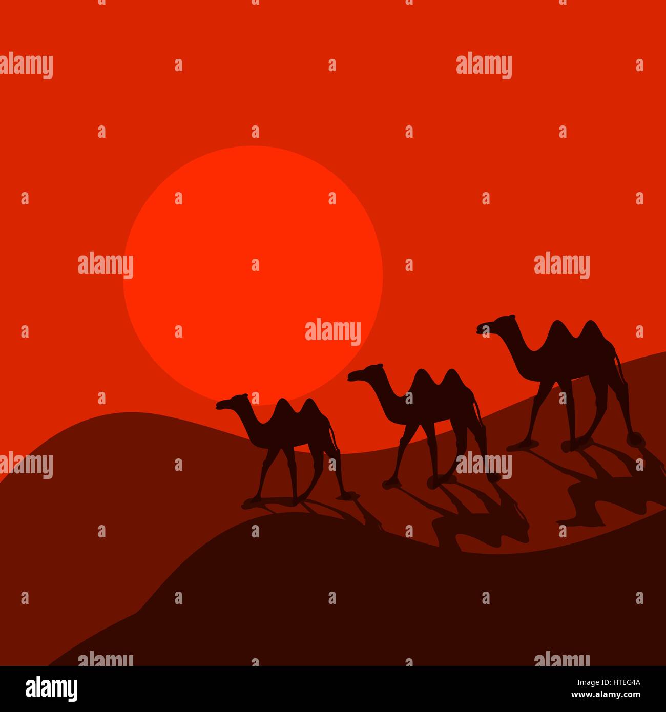 Camel caravan in desert cartoon vector. Stock Vector