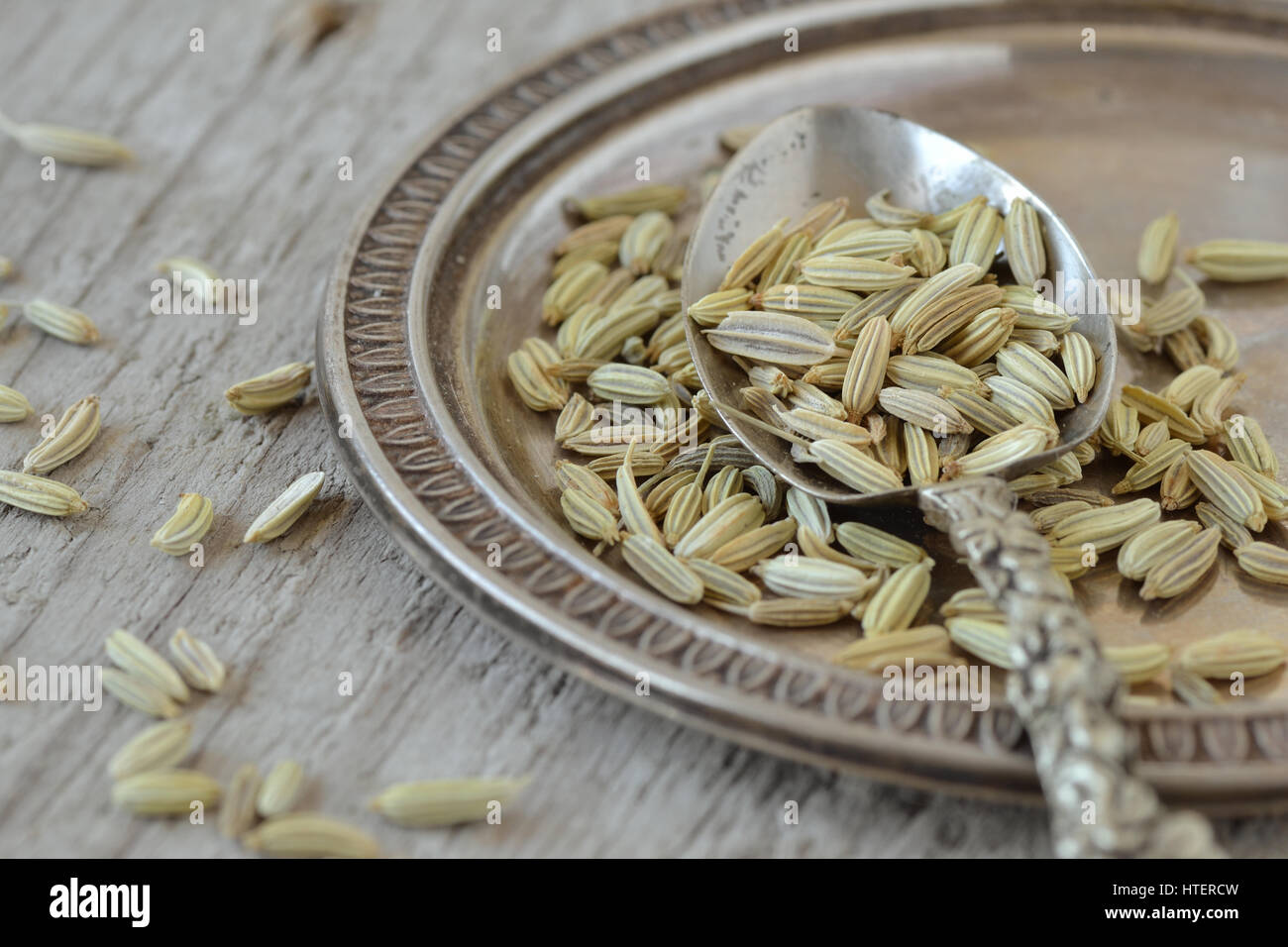 Fennel seeds with spoon and plate Stock Photo