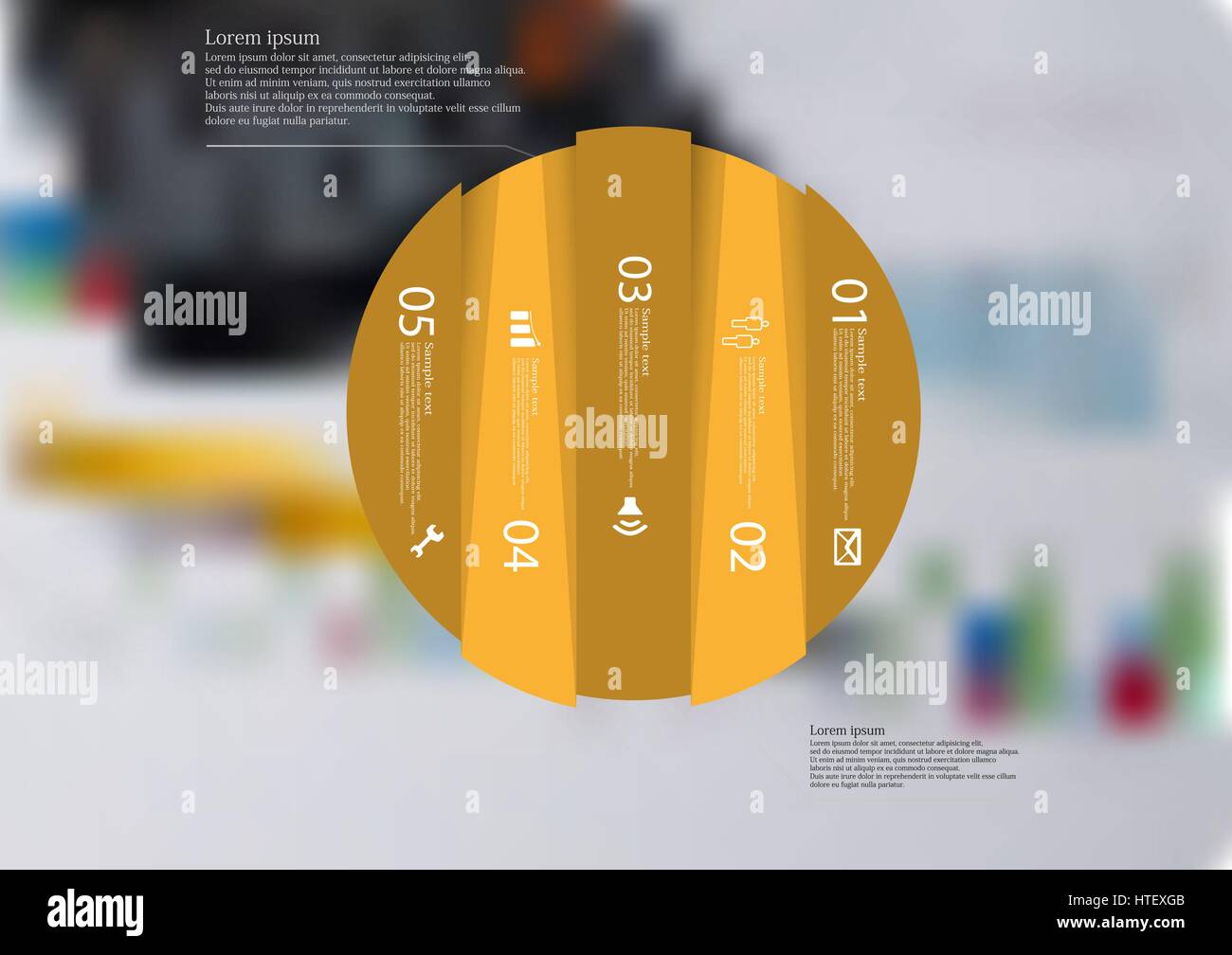 Illustration infographic template with motif of circle vertically ...