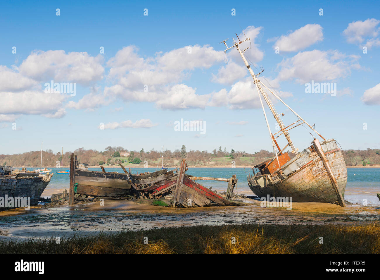 Suffolk landscape UK, view of abandoned sailing boats left to decay along the banks of the River Orwell near Pin Mill, Suffolk, England, UK. Stock Photo