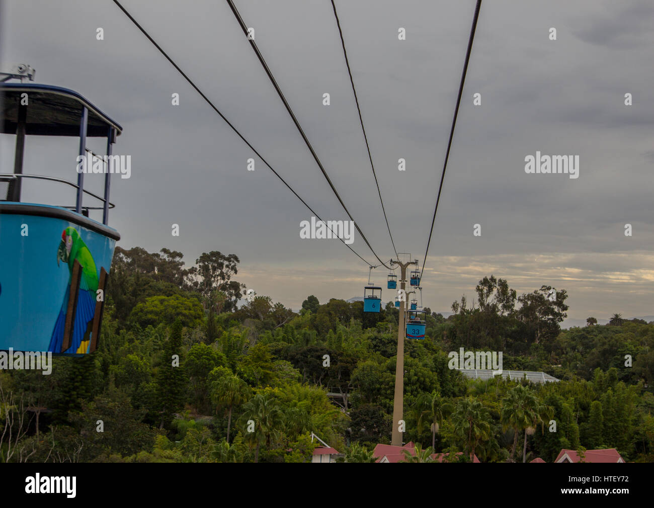 San Diego Zoo, one of the the most amazing places to visit in California. Many different kinds of animal you can meet in that great zoo. Stock Photo