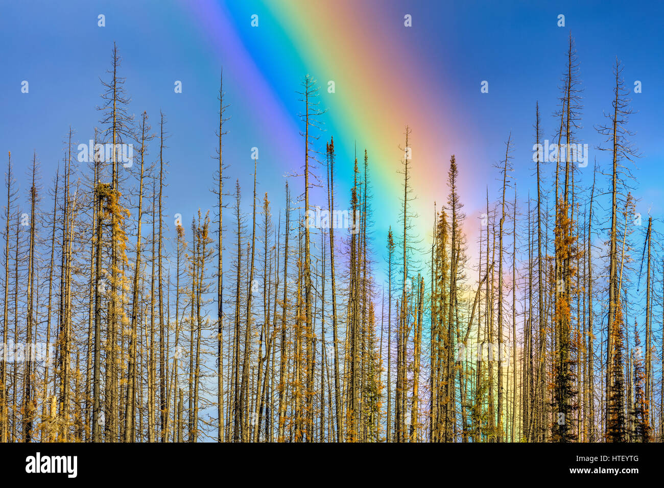 Rainbow in Medicine Lake area, Jasper National Park Stock Photo