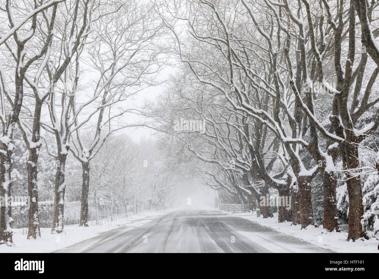 snow covered landscape in eastern long island, new york, usa Stock Photo