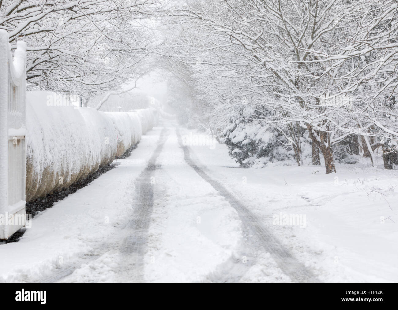 snow covered landscape in eastern long island, new york, usa Stock Photo