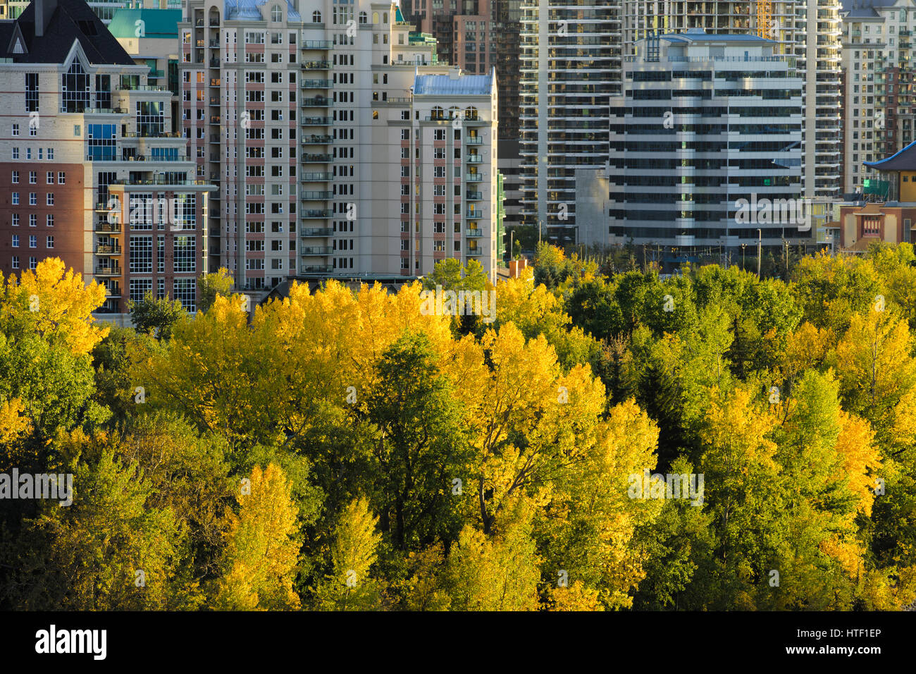Downtown Calgary skyline, Alberta Stock Photo