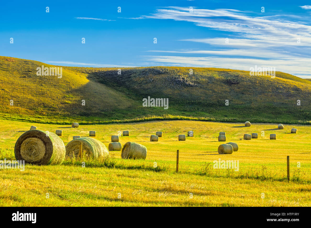 Hay bails in the Alberta foothills farmland Stock Photo Alamy
