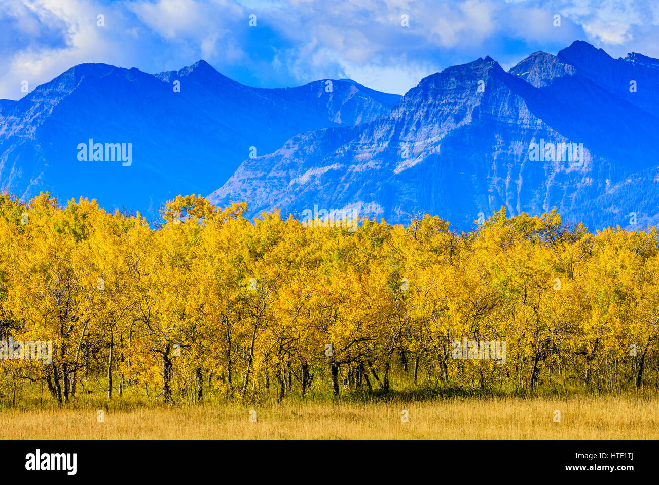 Alberta foothills country, Canada Stock Photo Alamy