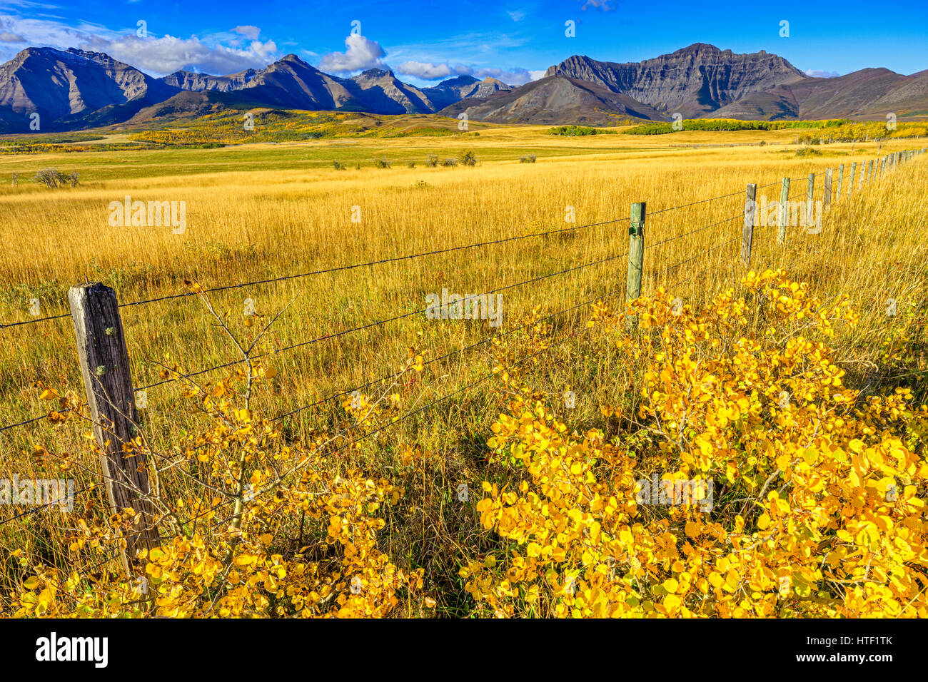 Alberta foothills country, Canada Stock Photo Alamy
