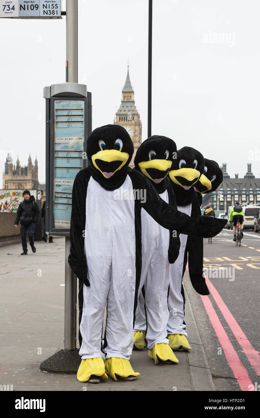 London, UK. 10 March 2017. As part of the British Science Association's (BSA) Science Week from 10 to 19 March 2017, a host of penguin pals will be appearing in London. The BSA want to get a quarter of a million penguins spotted during the week, basically labelling penguins in a series of pictures taken on the ground in Antarctica. Penguin Watch is one example of citizen science project, a growing trend for people outside the scientific profession to help take part in experiments from nature and wildlife to astronomy. Stock Photo